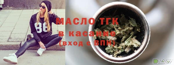 прущий лед Пересвет