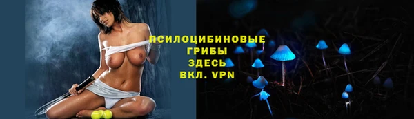 прущий лед Пересвет