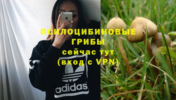 дживик Переславль-Залесский
