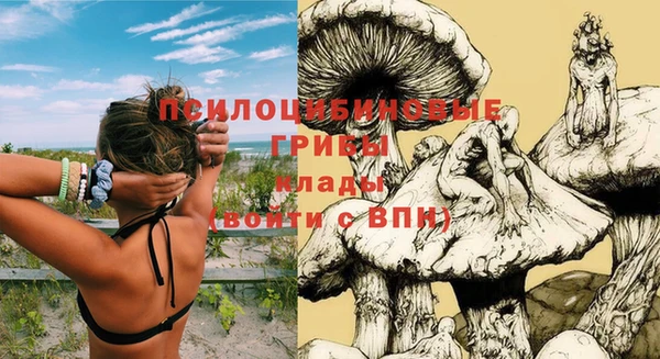 ALPHA PVP Пестово