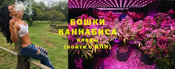 прущий лед Пересвет