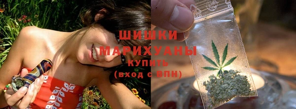 дживик Переславль-Залесский